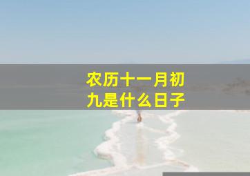 农历十一月初九是什么日子