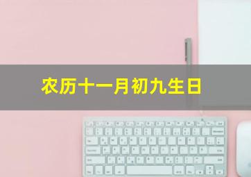 农历十一月初九生日