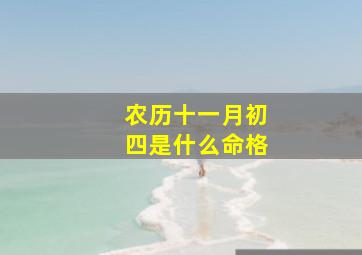 农历十一月初四是什么命格