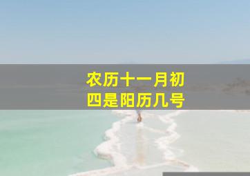 农历十一月初四是阳历几号