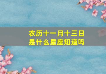 农历十一月十三日是什么星座知道吗