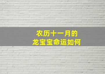 农历十一月的龙宝宝命运如何