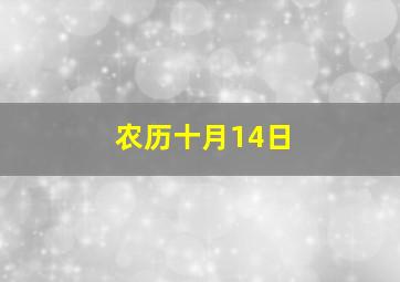 农历十月14日