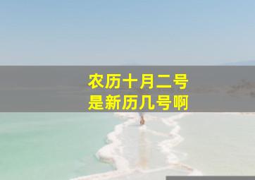 农历十月二号是新历几号啊