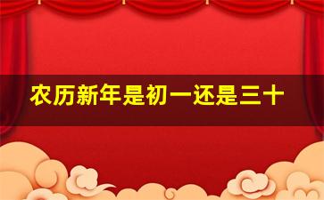 农历新年是初一还是三十