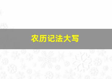 农历记法大写