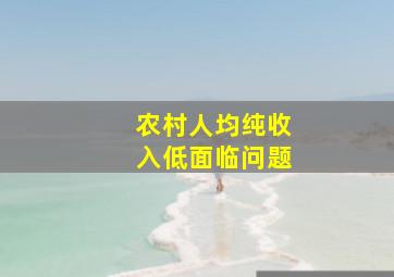 农村人均纯收入低面临问题