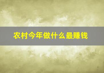 农村今年做什么最赚钱