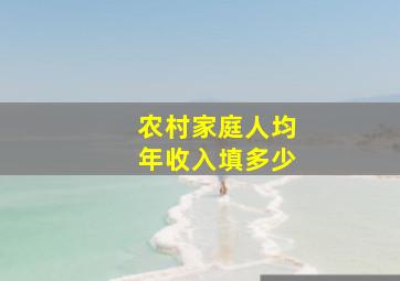 农村家庭人均年收入填多少