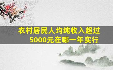 农村居民人均纯收入超过5000元在哪一年实行