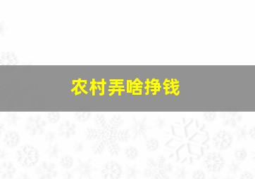 农村弄啥挣钱