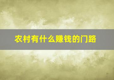 农村有什么赚钱的门路