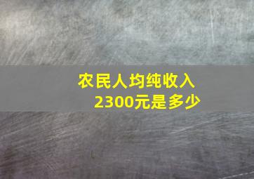 农民人均纯收入2300元是多少