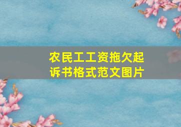 农民工工资拖欠起诉书格式范文图片