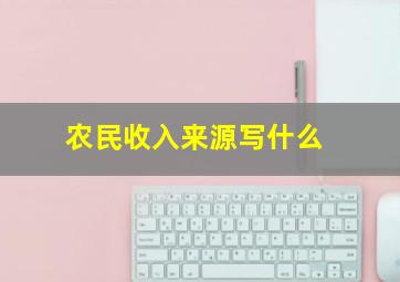 农民收入来源写什么