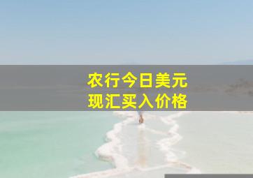 农行今日美元现汇买入价格