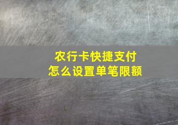 农行卡快捷支付怎么设置单笔限额