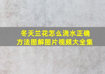 冬天兰花怎么浇水正确方法图解图片视频大全集