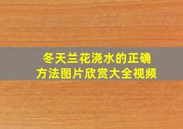 冬天兰花浇水的正确方法图片欣赏大全视频