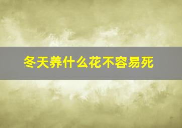 冬天养什么花不容易死