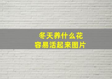 冬天养什么花容易活起来图片