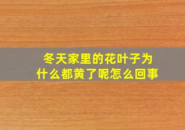 冬天家里的花叶子为什么都黄了呢怎么回事