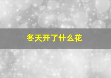 冬天开了什么花