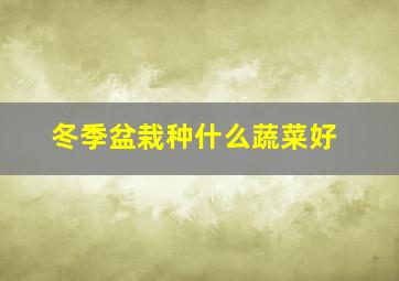 冬季盆栽种什么蔬菜好