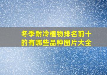 冬季耐冷植物排名前十的有哪些品种图片大全