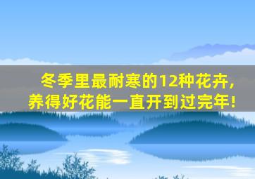 冬季里最耐寒的12种花卉,养得好花能一直开到过完年!