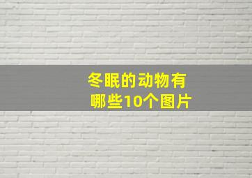 冬眠的动物有哪些10个图片