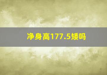 净身高177.5矮吗