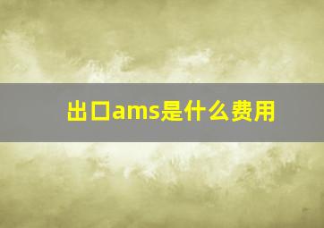 出口ams是什么费用