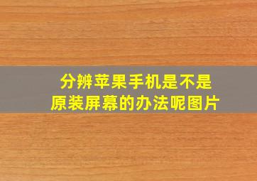 分辨苹果手机是不是原装屏幕的办法呢图片