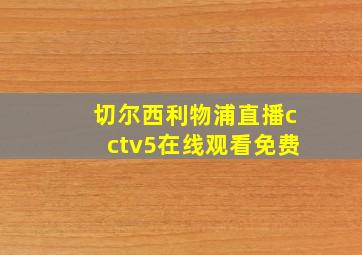 切尔西利物浦直播cctv5在线观看免费