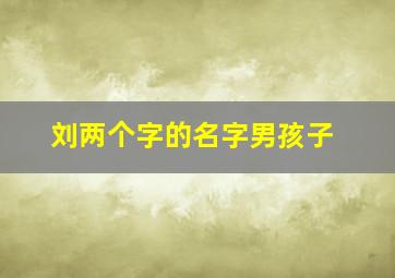 刘两个字的名字男孩子