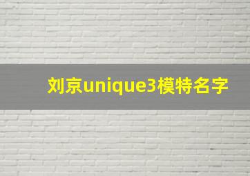 刘京unique3模特名字