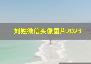 刘姓微信头像图片2023