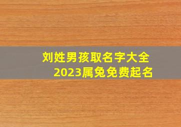 刘姓男孩取名字大全2023属兔免费起名