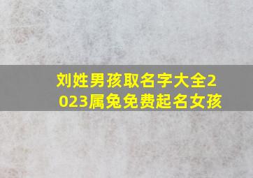 刘姓男孩取名字大全2023属兔免费起名女孩