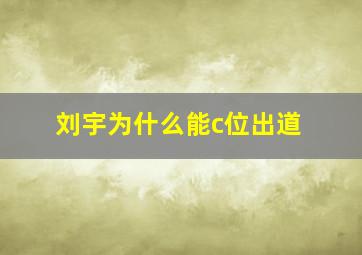 刘宇为什么能c位出道