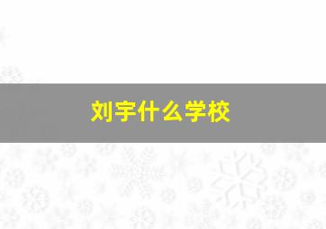 刘宇什么学校