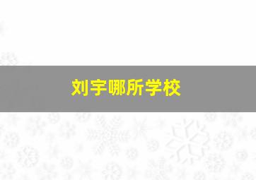 刘宇哪所学校