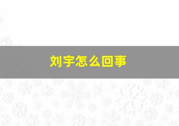 刘宇怎么回事