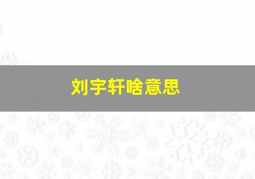 刘宇轩啥意思