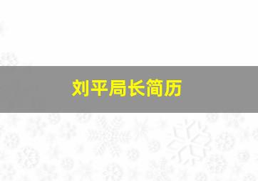 刘平局长简历