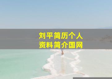 刘平简历个人资料简介国网