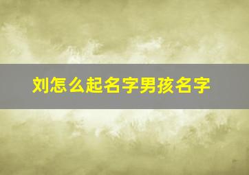 刘怎么起名字男孩名字