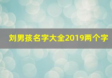 刘男孩名字大全2019两个字