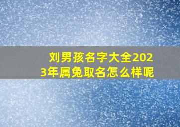 刘男孩名字大全2023年属兔取名怎么样呢